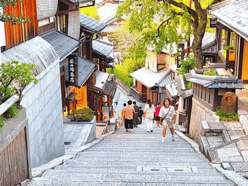 Kyoto: Private Full Day Car Tour by English Speaking Driver - Included Services