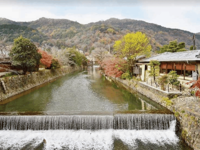 Kyoto: Private Full Day Car Tour by English Speaking Driver - Group Size and Duration