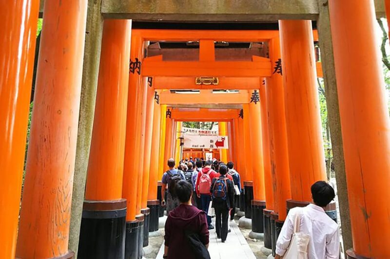 Kyoto: Private Full-Day Early Riser Platinum Walking Tour - Key Points