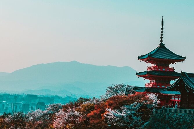 Kyoto Private Guided Food Tour With A Guide - Key Points