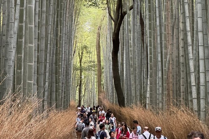 Kyoto Private Guided Food Tour With A Guide - Booking Details