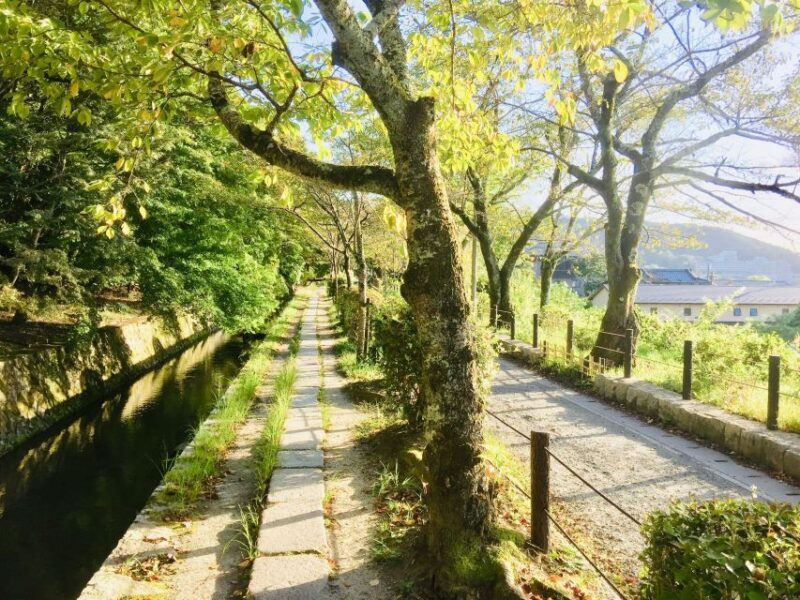 Kyoto: Private Guided Tour of Temples and Shrines - Key Points