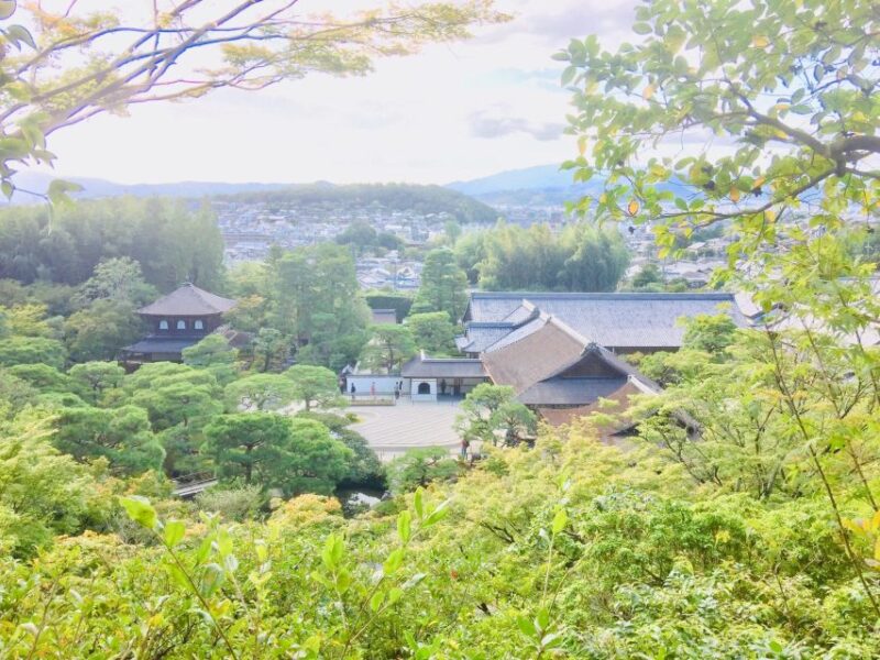 Kyoto: Private Guided Tour of Temples and Shrines - Lunch