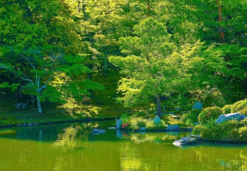 Kyoto Private Guided Tour With Pick up - Inclusions and Logistics
