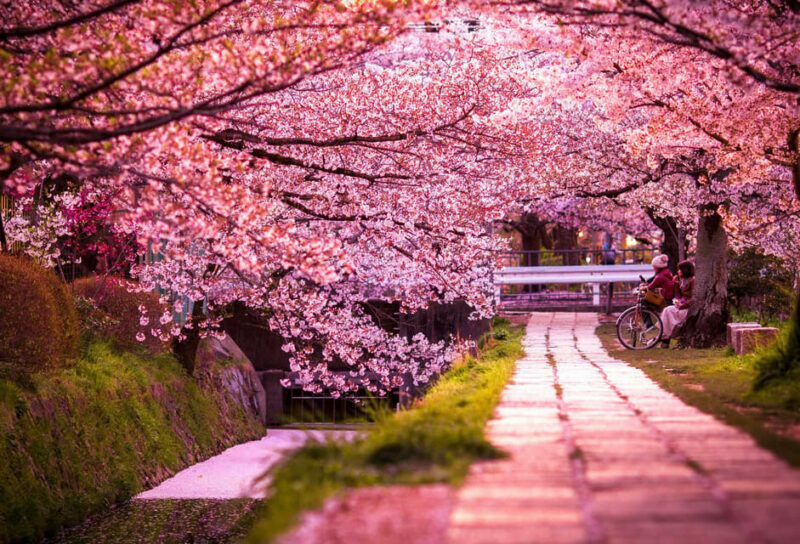 Kyoto: Private Highlights Tour with Guide and Luxury Vehicle - FAQ