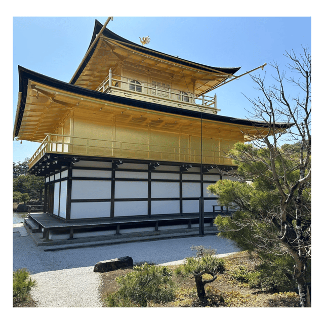 Kyoto: Private Kyoto Car Tour With Hotel Pickup and Drop-Off - Group Size and Pricing