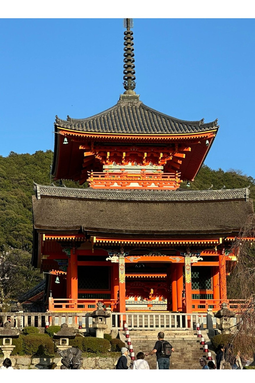 Kyoto: Private Kyoto & Nara Tour By English Speaking Driver - Key Points