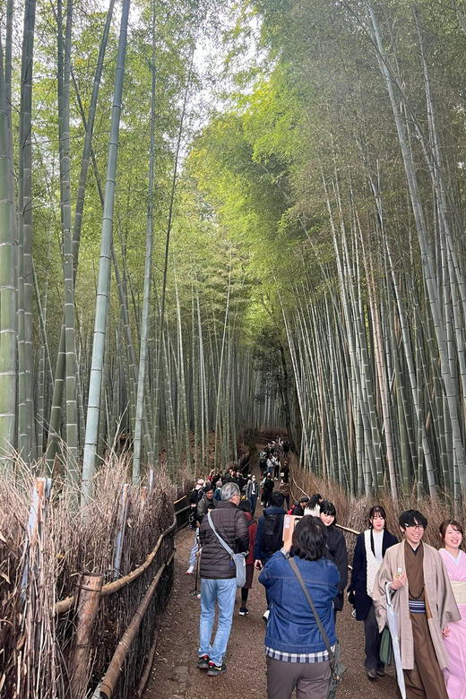 Kyoto: Private Tour, Arashiyama, Bamboo Forests and Sacred Temples - Key Points