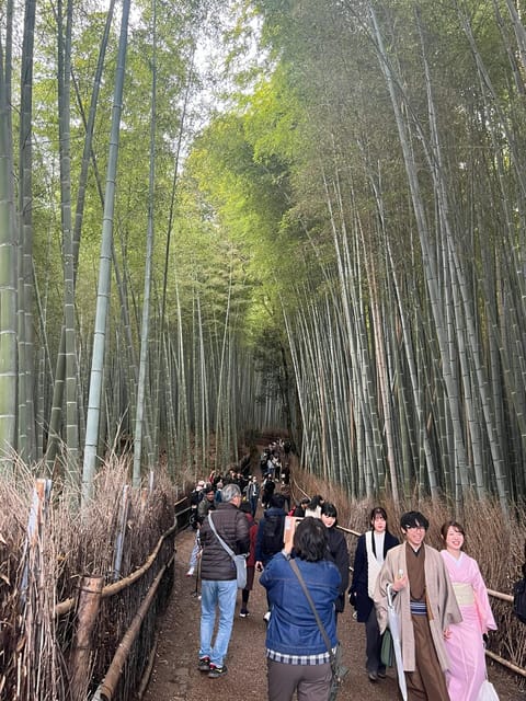 Kyoto: Private Tour, Arashiyama, Bamboo Forests and Sacred Temples - Tenryu-ji Temple