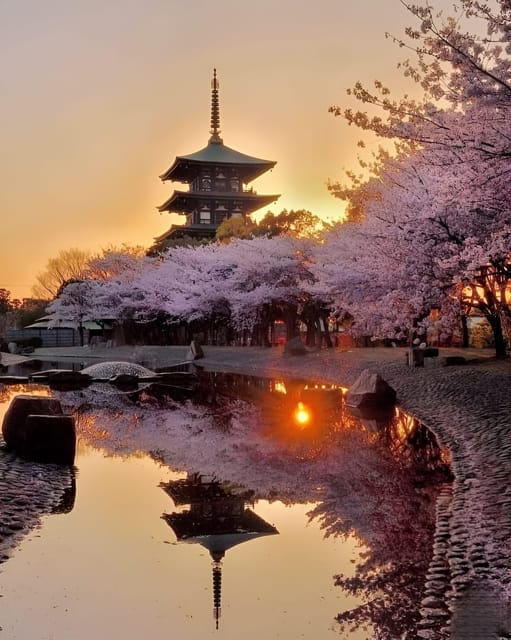 Kyoto Private Tour With Car From Osaka/ Kyoto - Itinerary Highlights