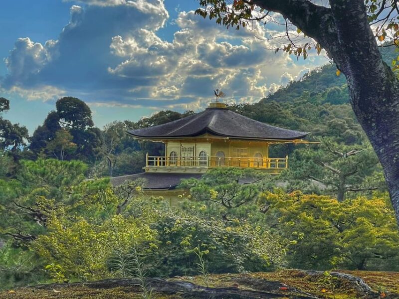 Kyoto Private Tour With Car From Osaka/ Kyoto - Exploring Fushimi Inari Shrine