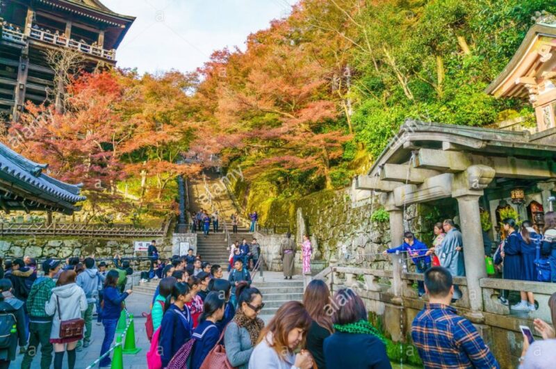 Kyoto: Private Tour With Local Licensed Guide - Tour Highlights