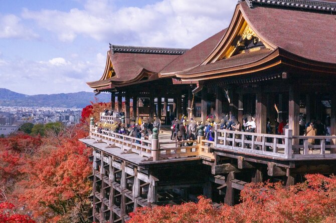 Kyoto Private Tour With National Licensed Guide - Key Points