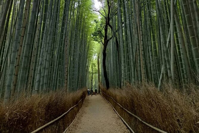 Kyoto Private Tour With National Licensed Guide - Meeting and Pickup Details