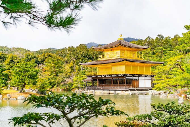 Kyoto Private Tour With National Licensed Guide - Tour Itinerary
