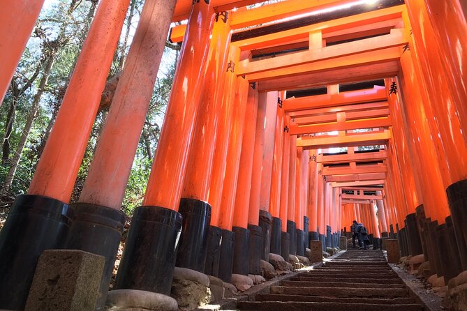 Kyoto Private Tour With National Licensed Guide From Osaka - Additional Information