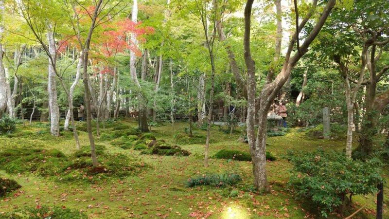 Kyoto: Quiet Arashiyama and Sagano Temples Guided Tour - Cultural Insights