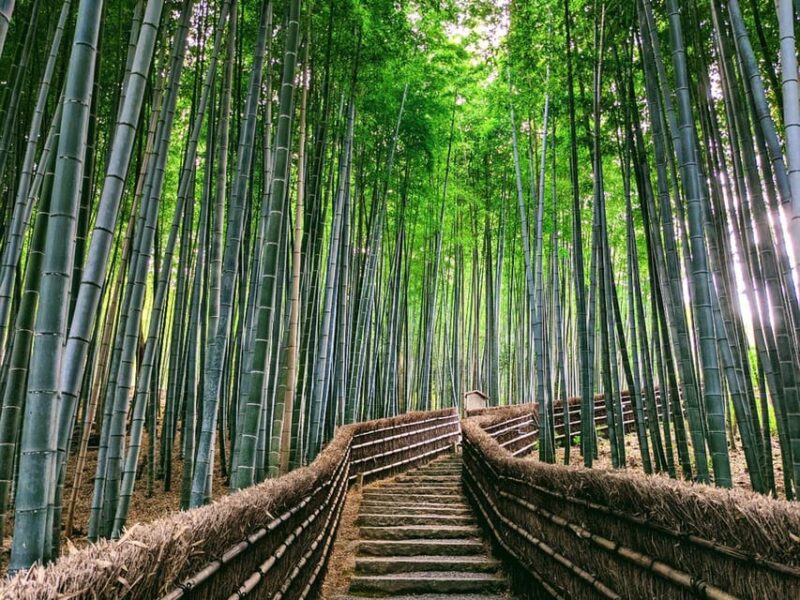 Kyoto: Quiet Arashiyama and Sagano Temples Guided Tour - Tour Experience