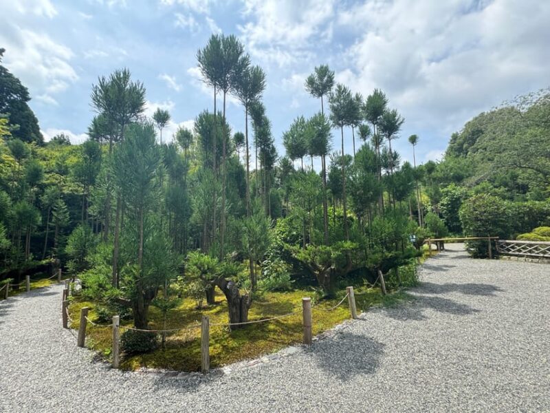Kyoto: Ryoan-ji, Greatest Zen Garden Guided Tour in 80 Min. - Serene Pond and Lush Greenery