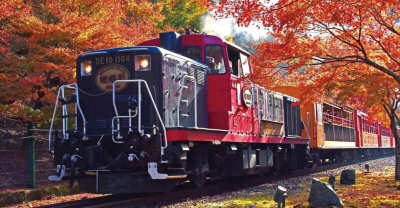 Kyoto Sagano Romantic Train in Arashiyama Bus Tour - Key Points