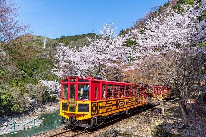 Kyoto Sagano Romantic Train With Cherry Blossoms Bus Tour - Inclusions