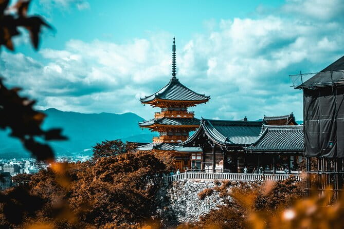 Kyoto Sakura & Hidden Gems of Timeless Tradition - Taking in Timeless Traditions