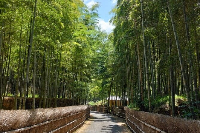 Kyoto Sakura & Hidden Gems of Timeless Tradition - Booking and Cancellation Policy