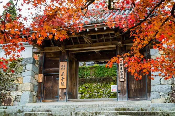 Kyoto Sansen-In Arashiyama Train 1 Day Tour From Osaka or Kyoto - Health and Safety Requirements