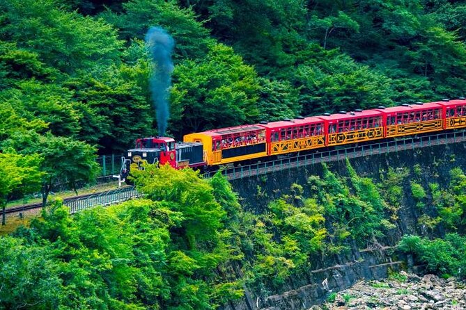 Kyoto Sansen-In Arashiyama Train 1 Day Tour From Osaka or Kyoto - Meeting and Pickup Information