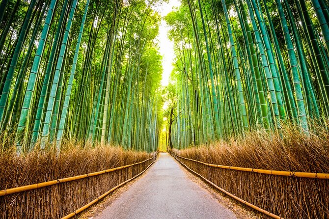 Kyoto Sansen-In Arashiyama Train 1 Day Tour From Osaka or Kyoto - Exploring Sanzen-in Temple