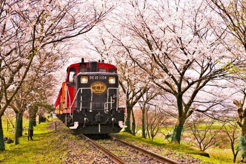 Kyoto: Sanzen-in Temple, Arashiyamas Scenic UNESCO Day Tour - Key Points