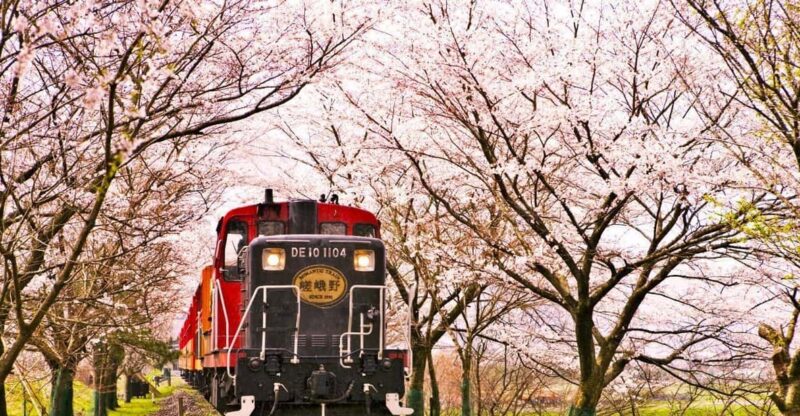 Kyoto: Sanzen-in Temple, Arashiyamas Scenic UNESCO Day Tour - Sanzen-in Temple Experience