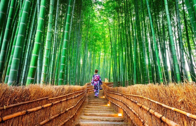 Kyoto: Sanzen-in Temple, Arashiyamas Scenic UNESCO Day Tour - Sagano Bamboo Grove