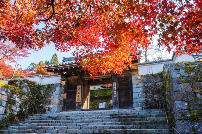 Kyoto: Sanzen-in Temple, Arashiyamas Scenic UNESCO Day Tour - Transportation and Guide