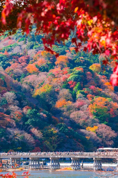 Kyoto: Sanzen-in Temple, Arashiyamas Scenic UNESCO Day Tour - Frequently Asked Questions