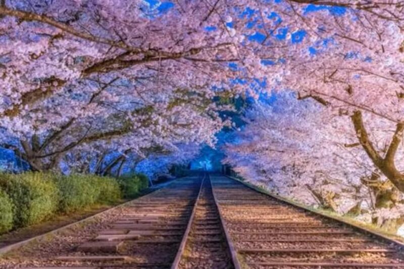 KYOTO: Sophisticated Harmony Journey: 4 Calming Scenes - Key Points