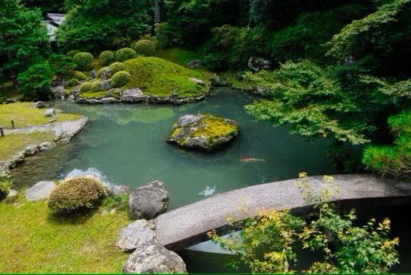KYOTO: Sophisticated Harmony Journey: 4 Calming Scenes - Experience Highlights
