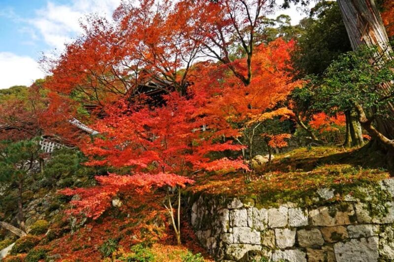 KYOTO: Sophisticated Harmony Journey: 4 Calming Scenes - Chion-in Temple: Embracing Pure Land Buddhism
