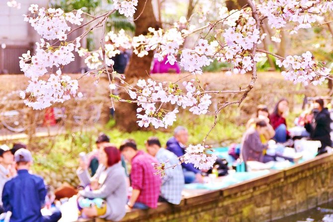 Kyoto Spring Evening (Cherry Blossom) Food Tour - Exploring the Demachiyanagi Station Meeting Point