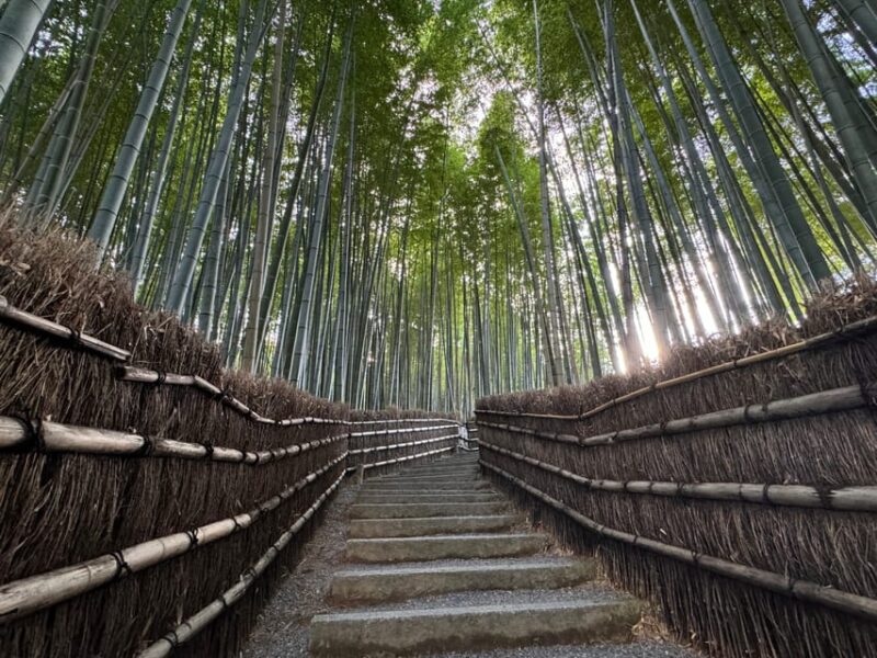 Kyoto: Stroll Around the Depths of Arashiyama - Key Points