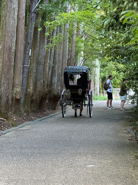 Kyoto: Stroll Around the Depths of Arashiyama - Experience and Learning