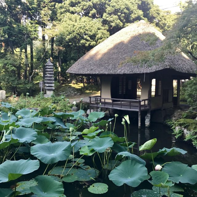 Kyoto: Tea Ceremony in a Japanese Painters Garden - Preparing for the Tea Ceremony