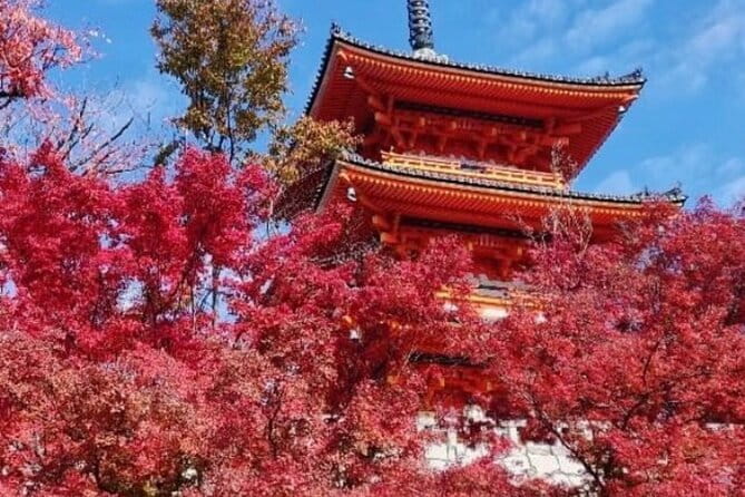 Kyoto Tour 12 Hours Private Nagoya Pick up Available - Pickup Information