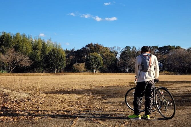 Kyoto Tour 12 Hours Private Nagoya Pick up Available - Tour Experience