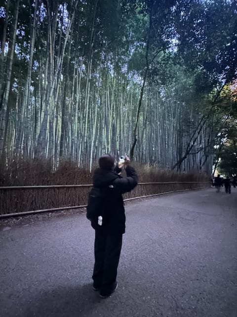Kyoto Tour in Spanish: Fushimi Inari, Arashiyama, and Golden Pavilion. - Arashiyama Bamboo Forest