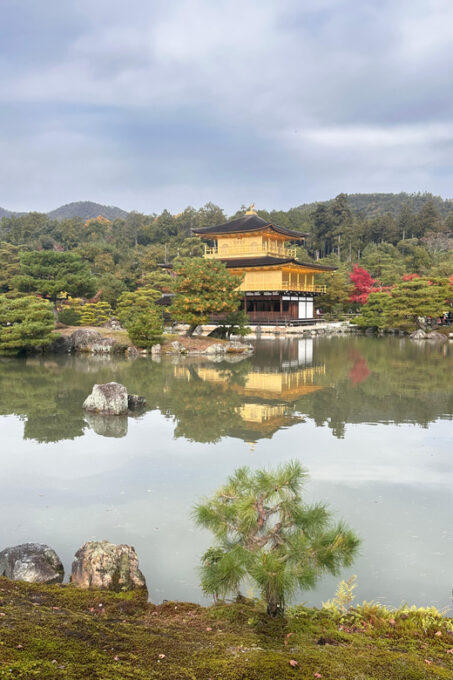 Kyoto Tour in Spanish: Fushimi Inari, Arashiyama, and Golden Pavilion. - Important Information
