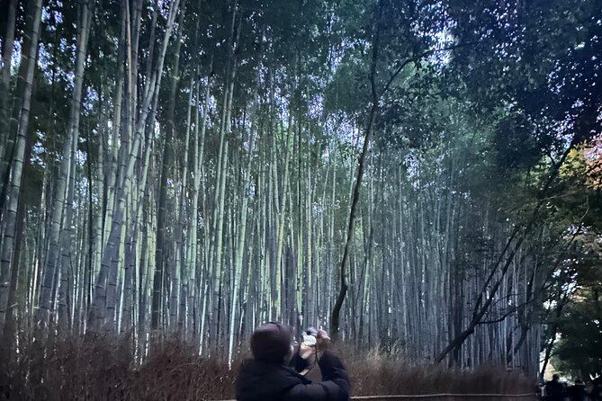 Kyoto Tour in Spanish: Fushimi Inari Bamboo Forest and Kinkaku-ji - Itinerary Details