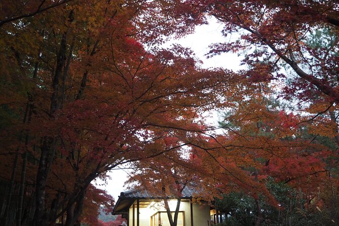 Kyoto Tour in Spanish: Fushimi Inari Bamboo Forest and Kinkaku-ji - Explore the Fushimi Inari Shrine