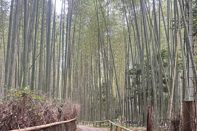 Kyoto Tour in Spanish: Fushimi Inari Bamboo Forest and Kinkaku-ji - Marvel at the Kinkakuji Temple