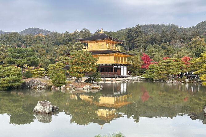 Kyoto Tour in Spanish: Fushimi Inari Bamboo Forest and Kinkaku-ji - Getting There and Getting Around